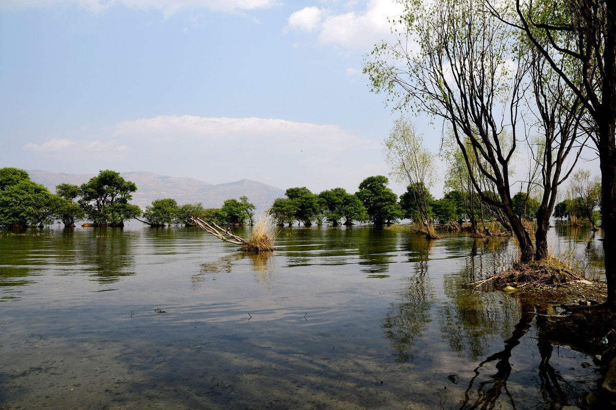 云南 上海游之九 —— 洱海风光掠影（2）