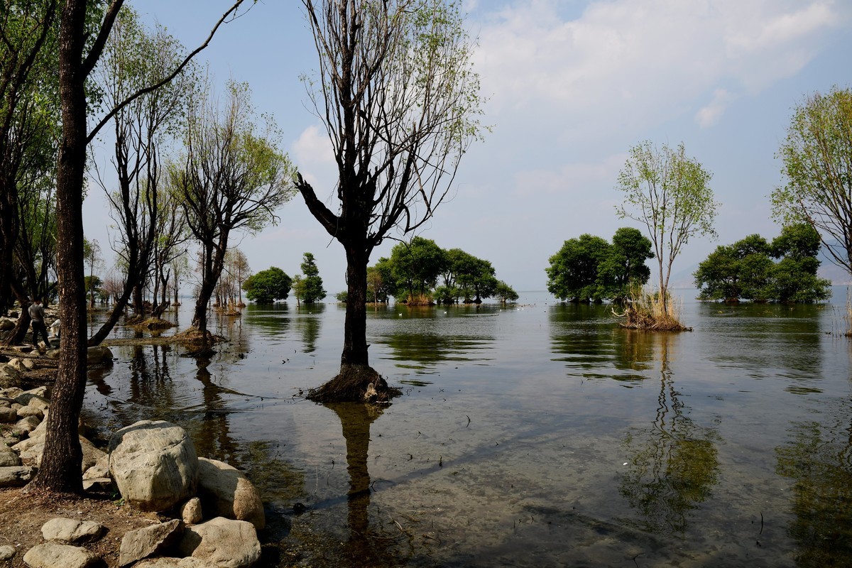 云南 上海游之九 —— 洱海风光掠影（2）