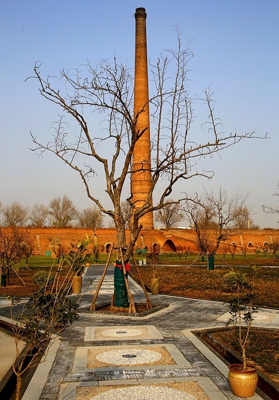 《不老松：纪实摄影》沧州印象.大运河农业生态文化产业示范区！发奨会！