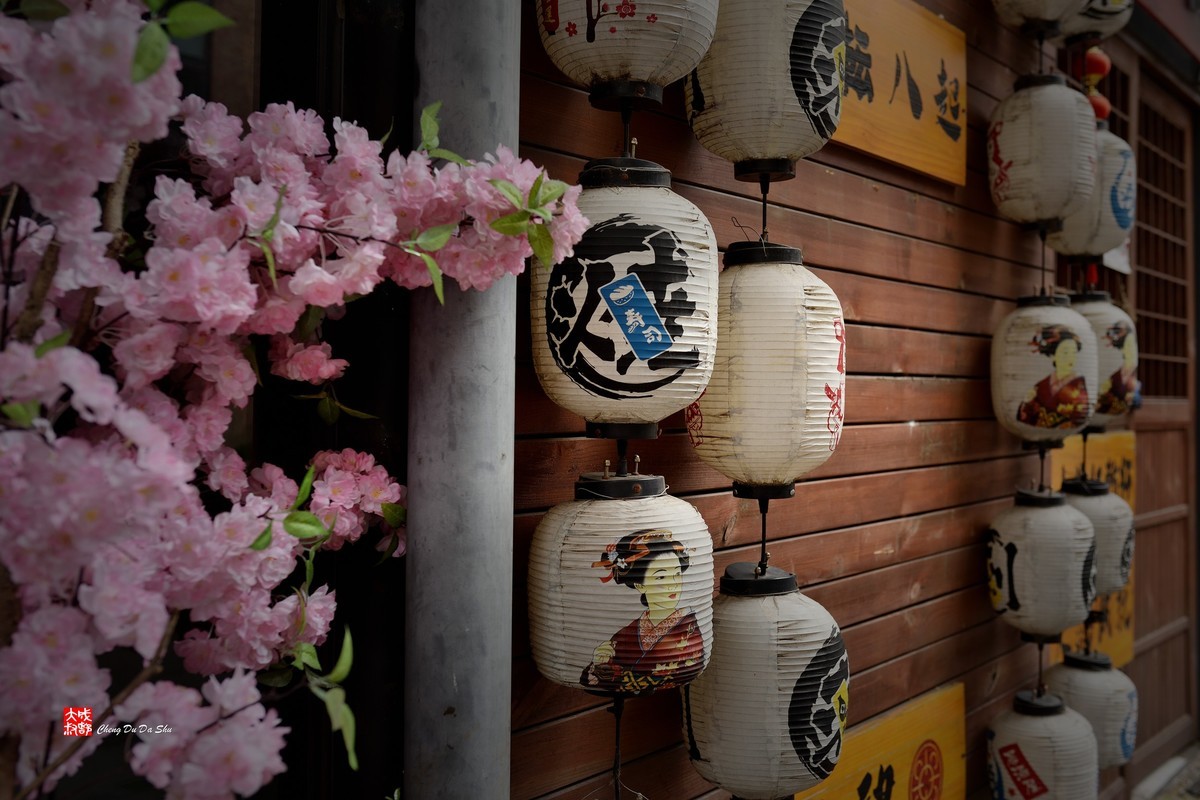 走走随拍【80】