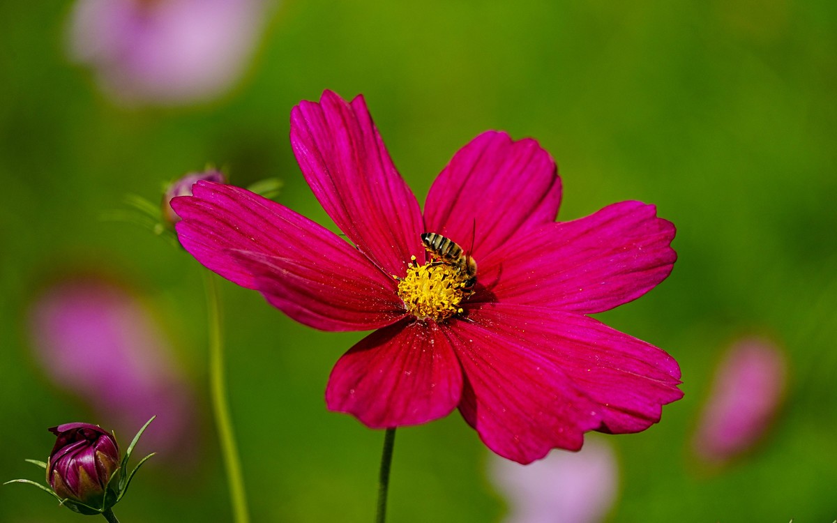 秋游奥森公园20231005 《40》