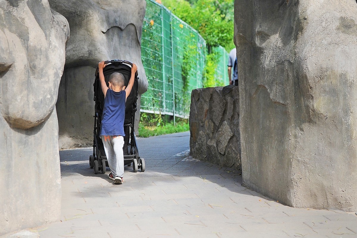 父与子的游园身影