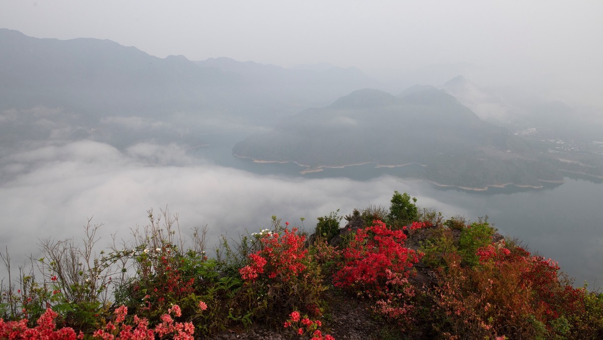 尼康D850+24-70风景--山花烂漫时