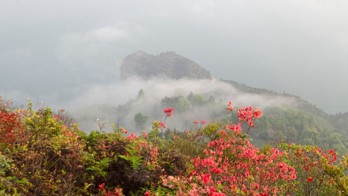 尼康D850+24-70风景--山花烂漫时