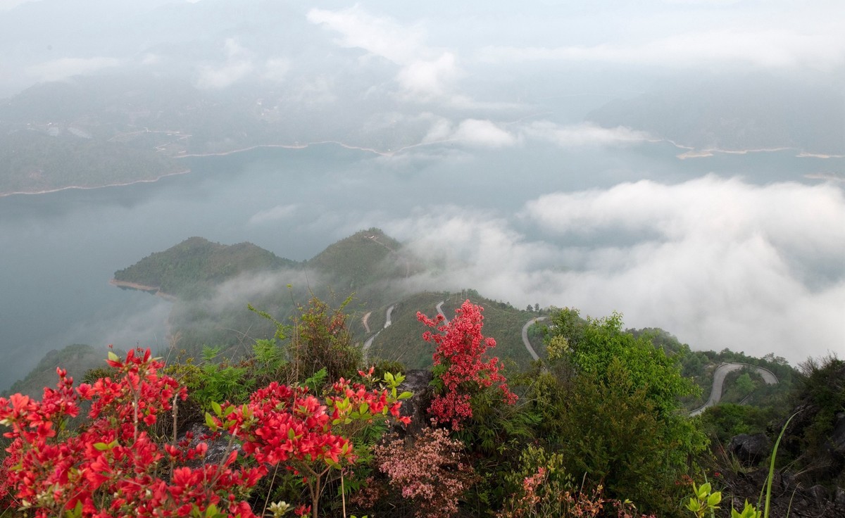 尼康D850+24-70风景--山花烂漫时