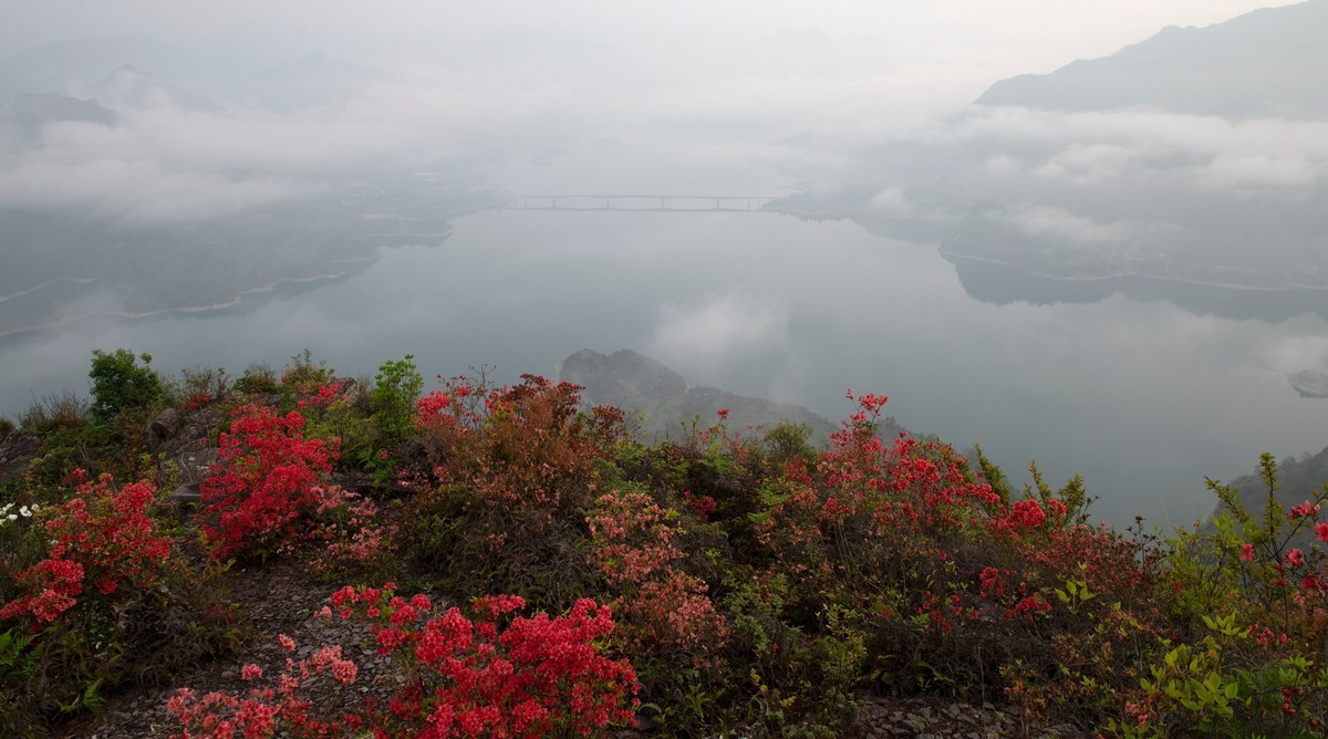 尼康D850+24-70风景--山花烂漫时