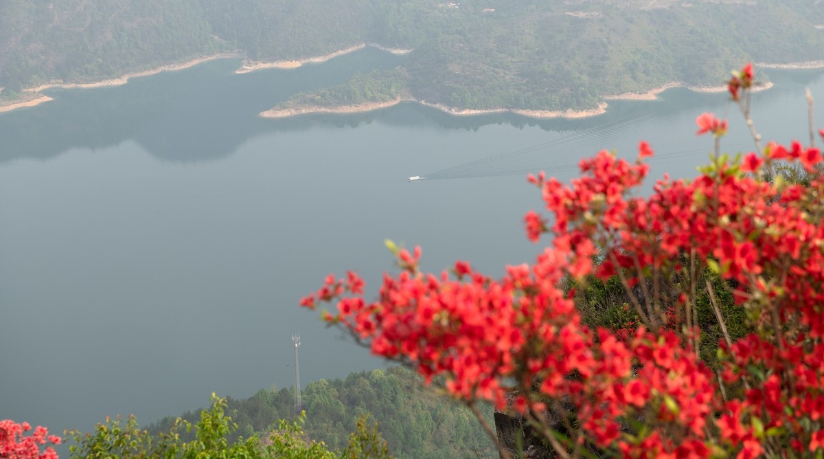 尼康D850+24-70风景--山花烂漫时