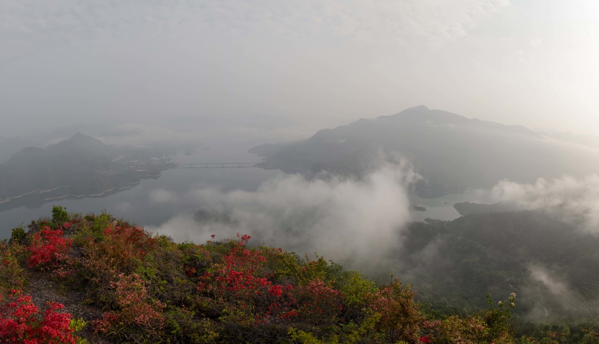 尼康D850+24-70风景--山花烂漫时