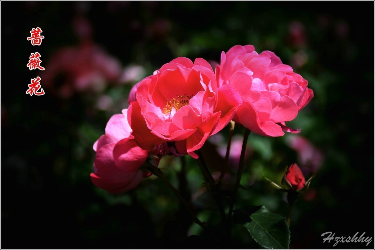 九月精华  小五星空(中国)祝祖国繁荣富强！