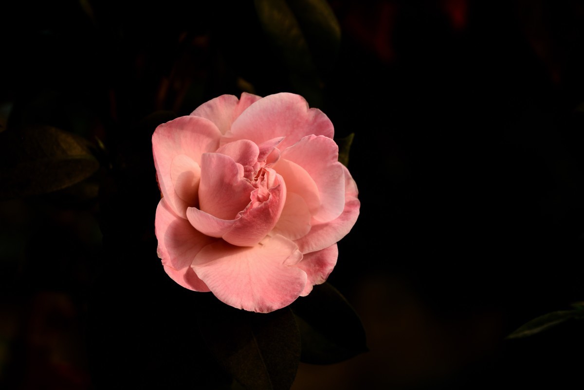 九月精华  小五星空(中国)祝祖国繁荣富强！