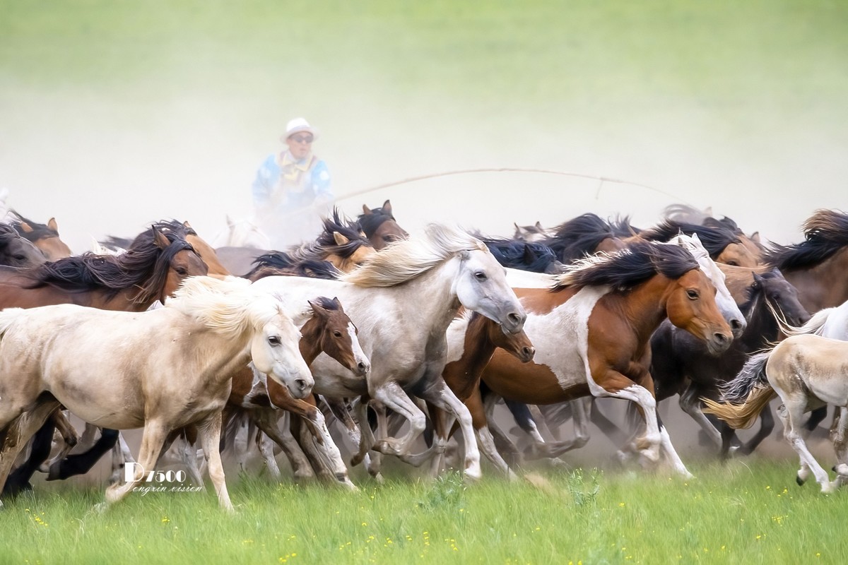 九月精华  小五星空(中国)祝祖国繁荣富强！