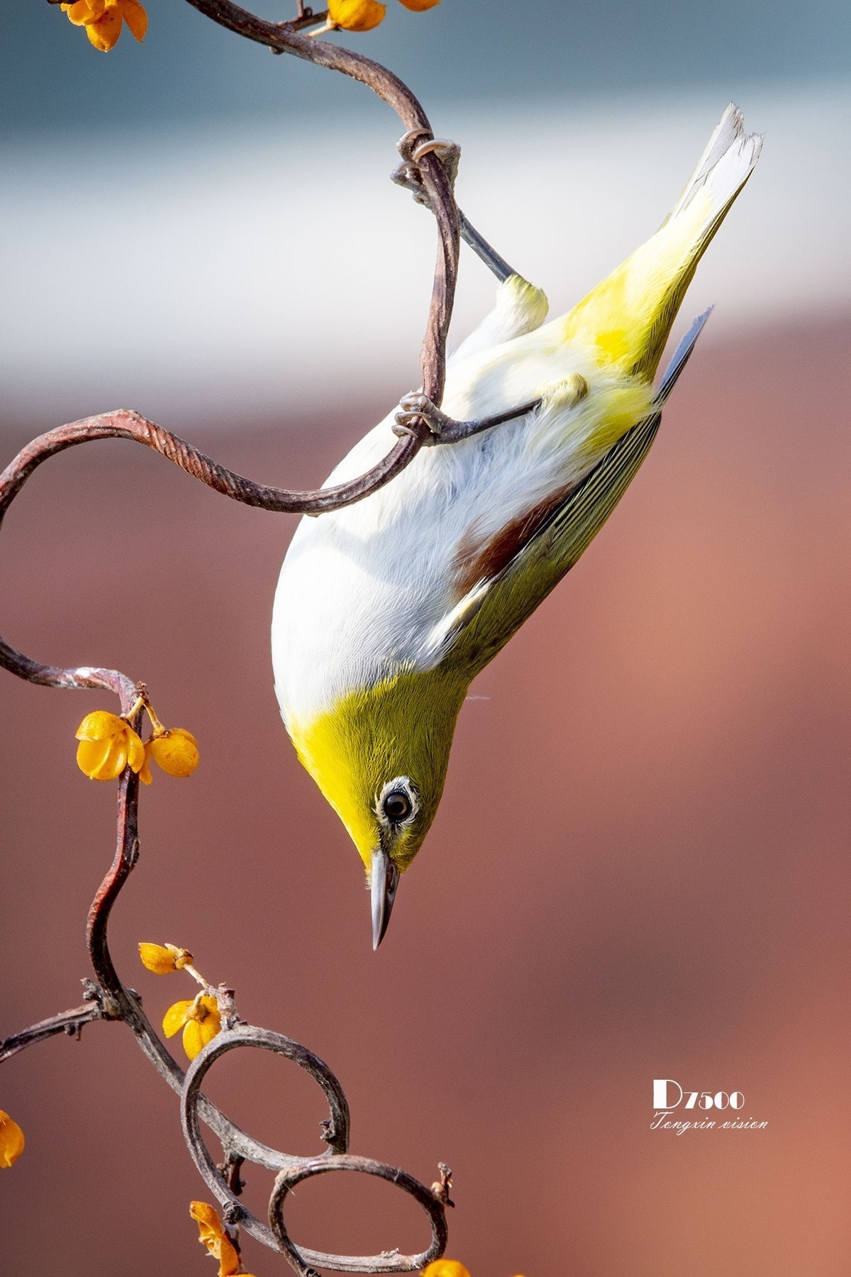 九月精华  小五星空(中国)祝祖国繁荣富强！