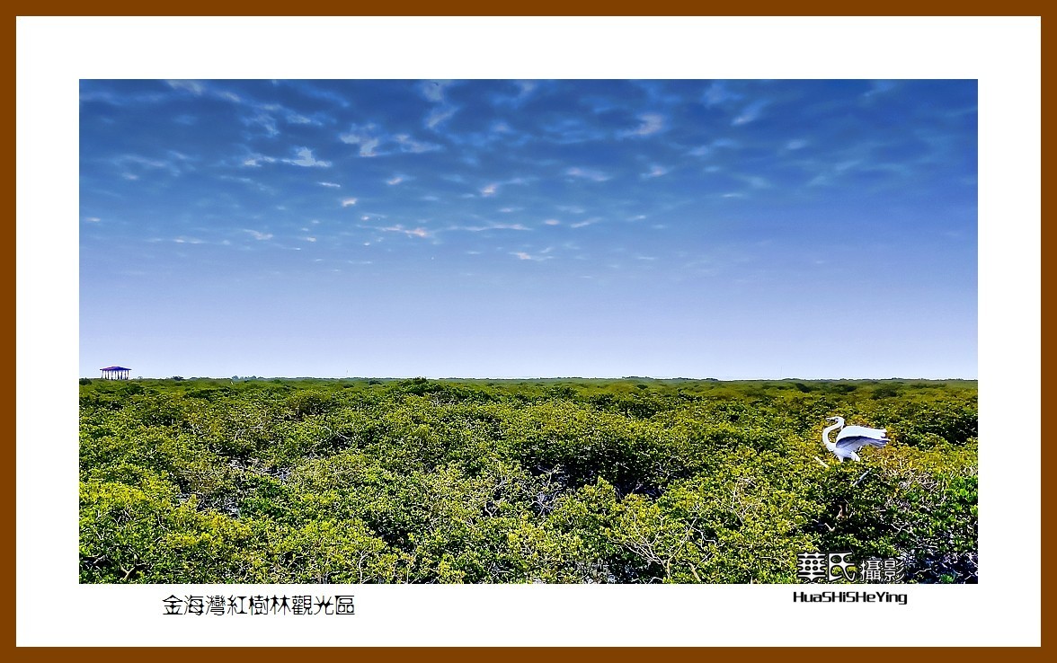 2021南行慢游（广西158）—金海湾红树林观光区（北海市）