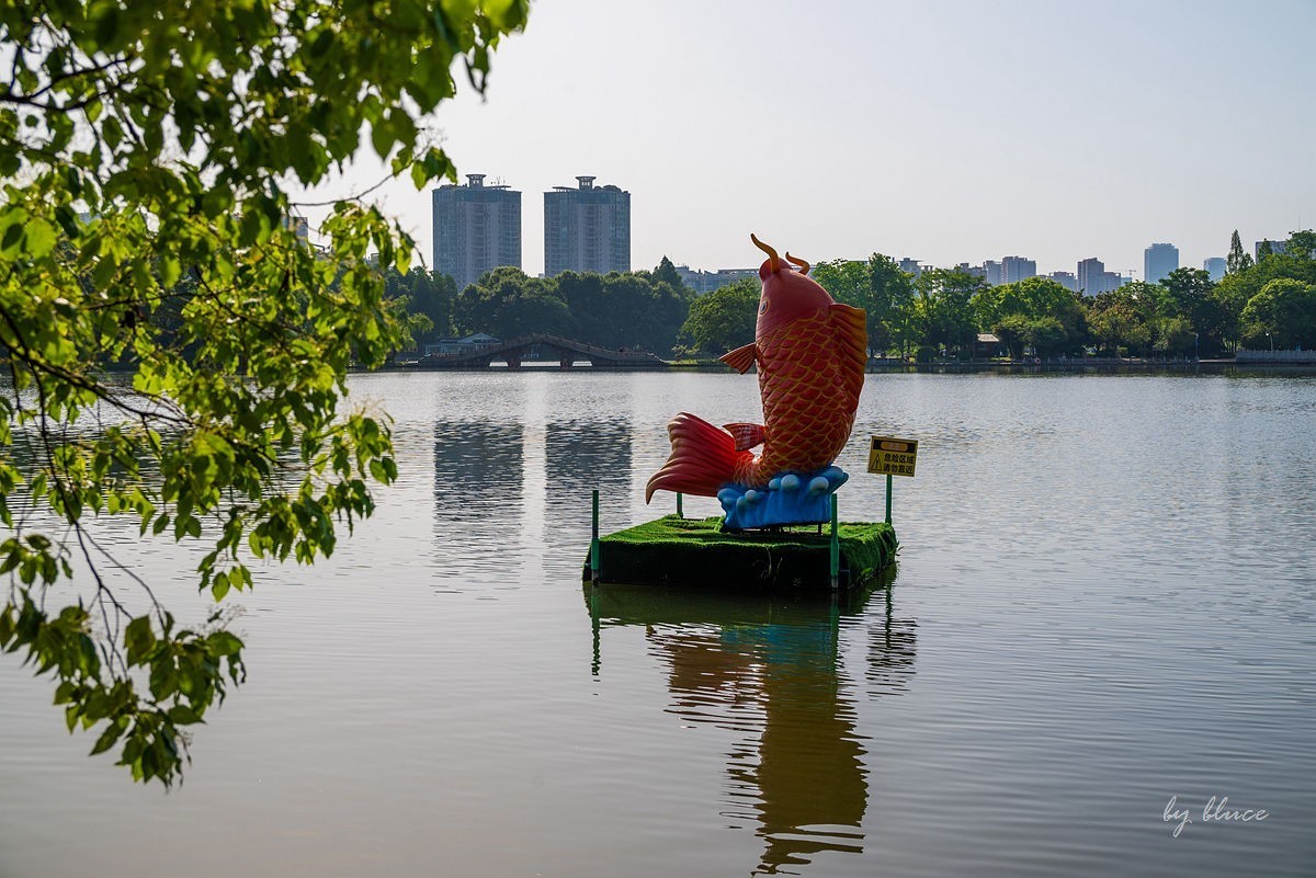 【长沙之行】年嘉湖掠影（上）