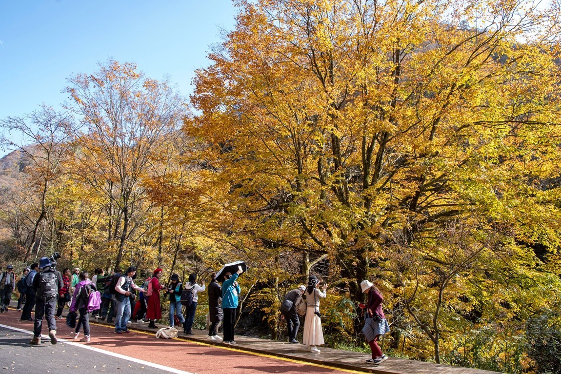 光雾山金秋行【14】