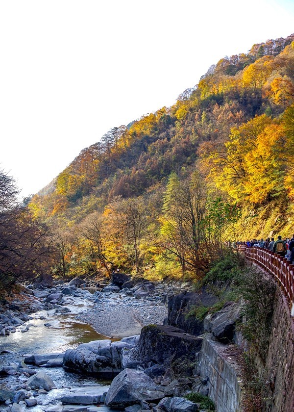 光雾山金秋行【14】