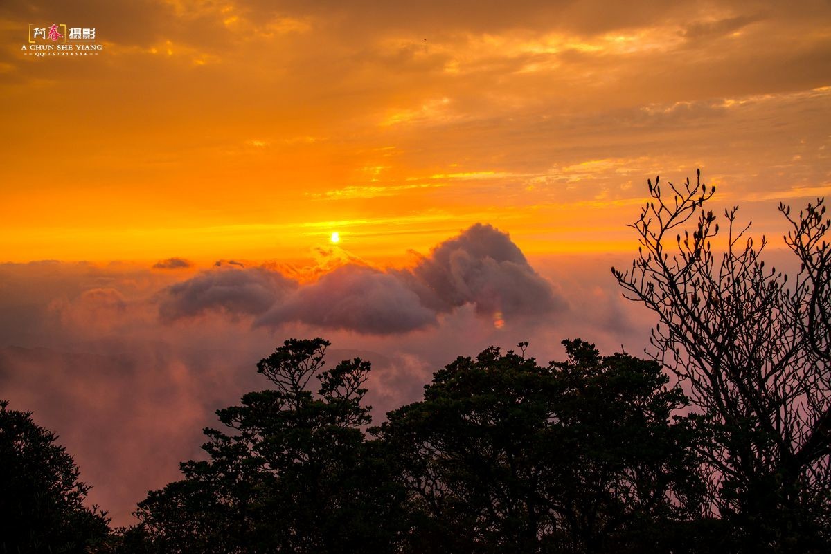 华南第一峰 --- 猫儿山随拍。
