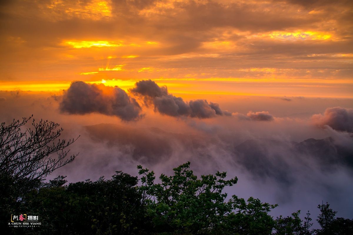 华南第一峰 --- 猫儿山随拍。