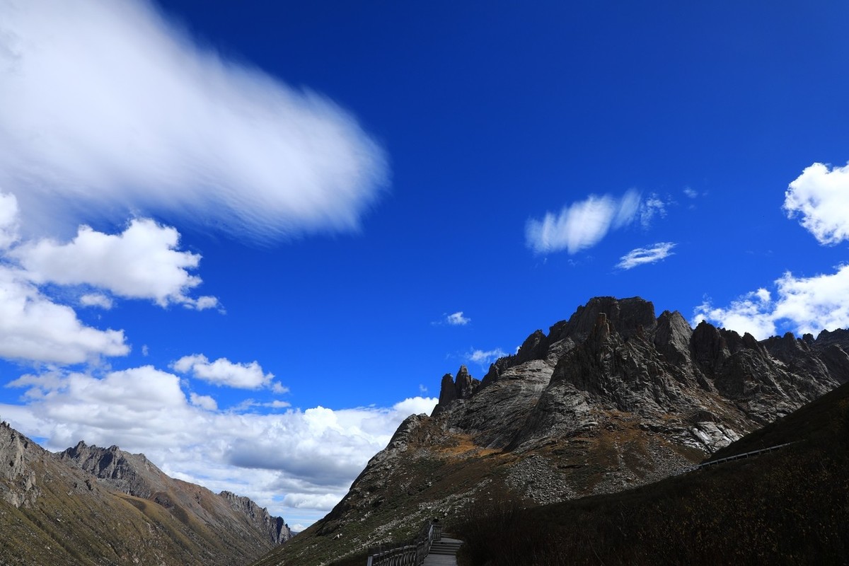 误闯魔幻世界--莲宝叶则（上）