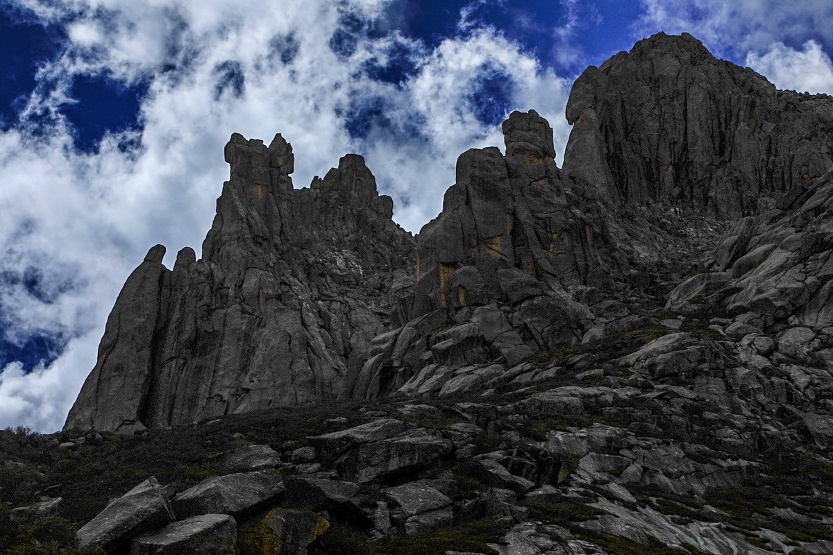 误闯魔幻世界--莲宝叶则（上）