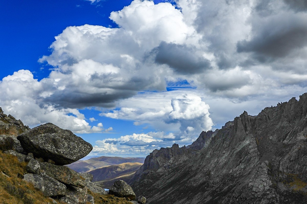 误入魔幻世界之莲宝叶则（下）