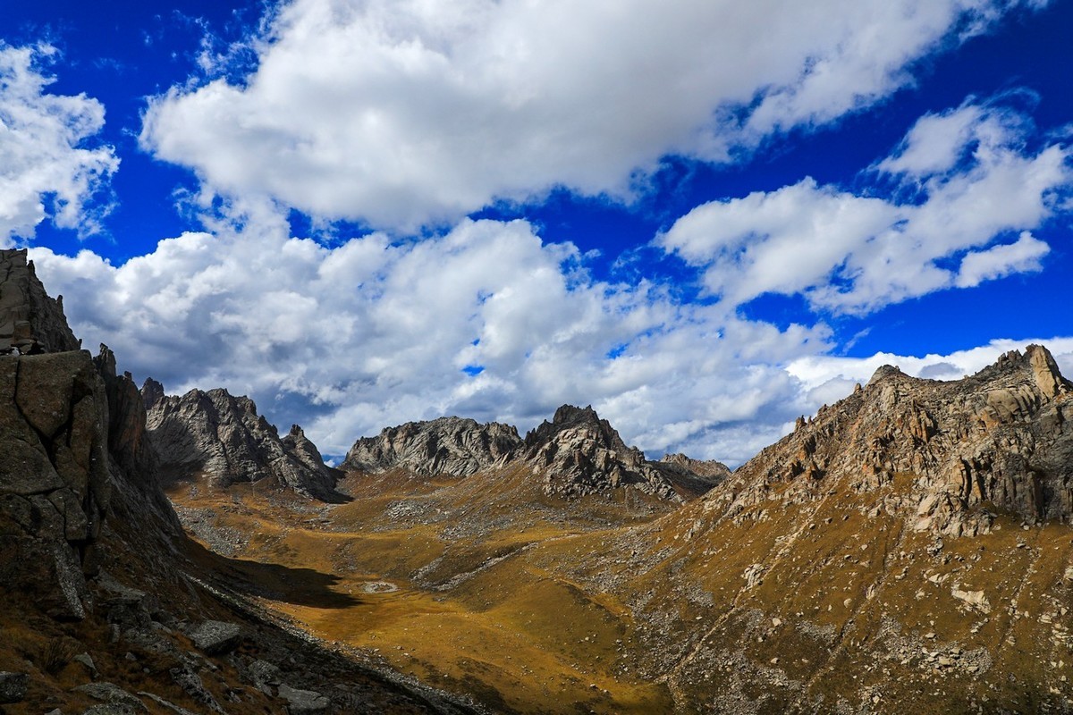 误入魔幻世界之莲宝叶则（下）