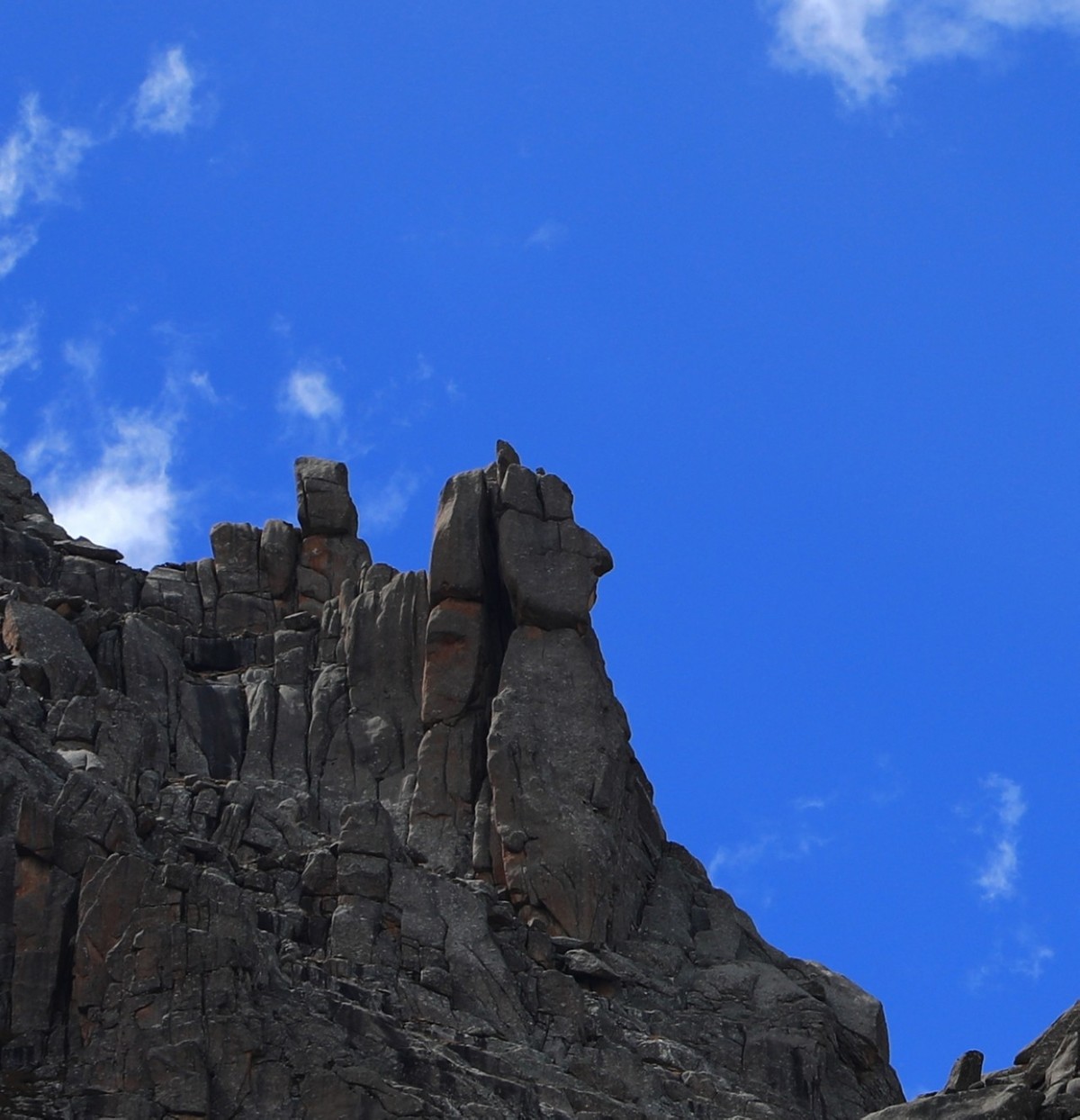 误入魔幻世界之莲宝叶则（下）