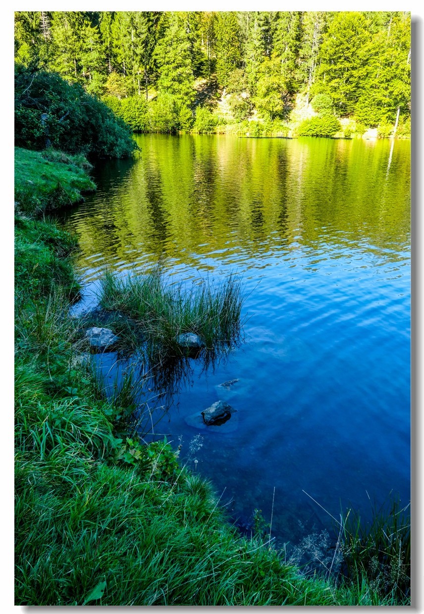 黑森林高山湖--“尼姑湖”游拍