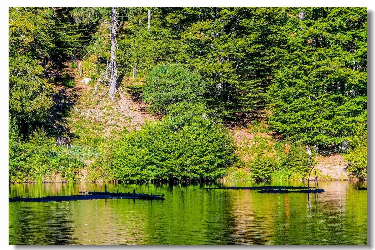 黑森林高山湖--“尼姑湖”游拍