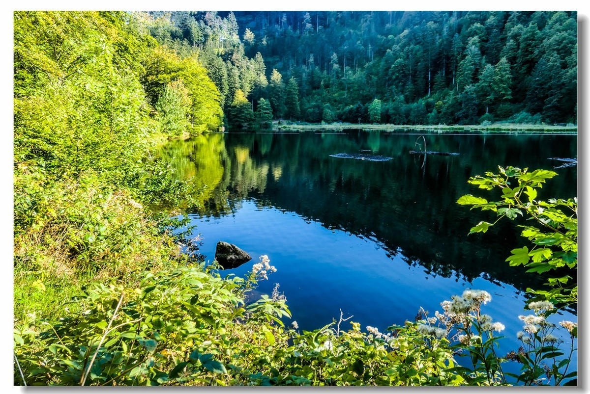 黑森林高山湖--“尼姑湖”游拍