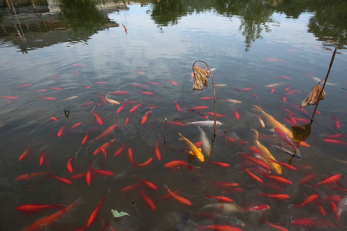 峨眉大佛禅院【一】