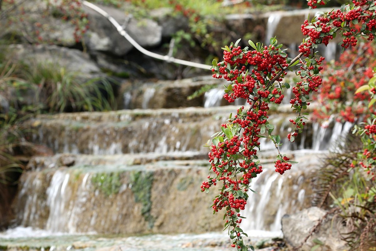 峨眉大佛禅院【一】