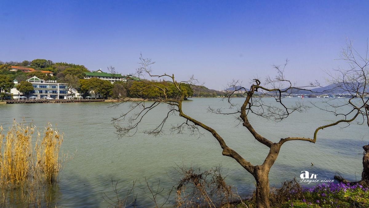 三月下江南——无锡鼋头渚（9）