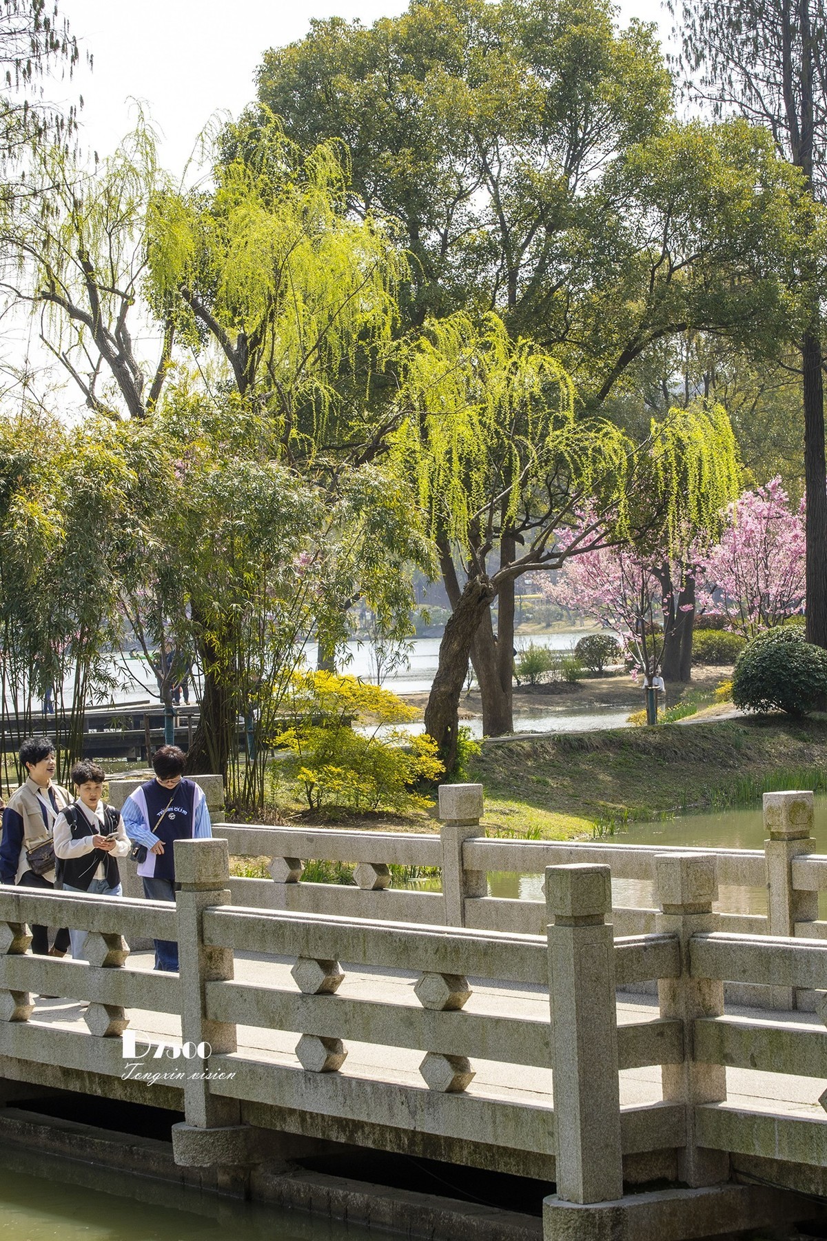 三月下江南——无锡鼋头渚（9）