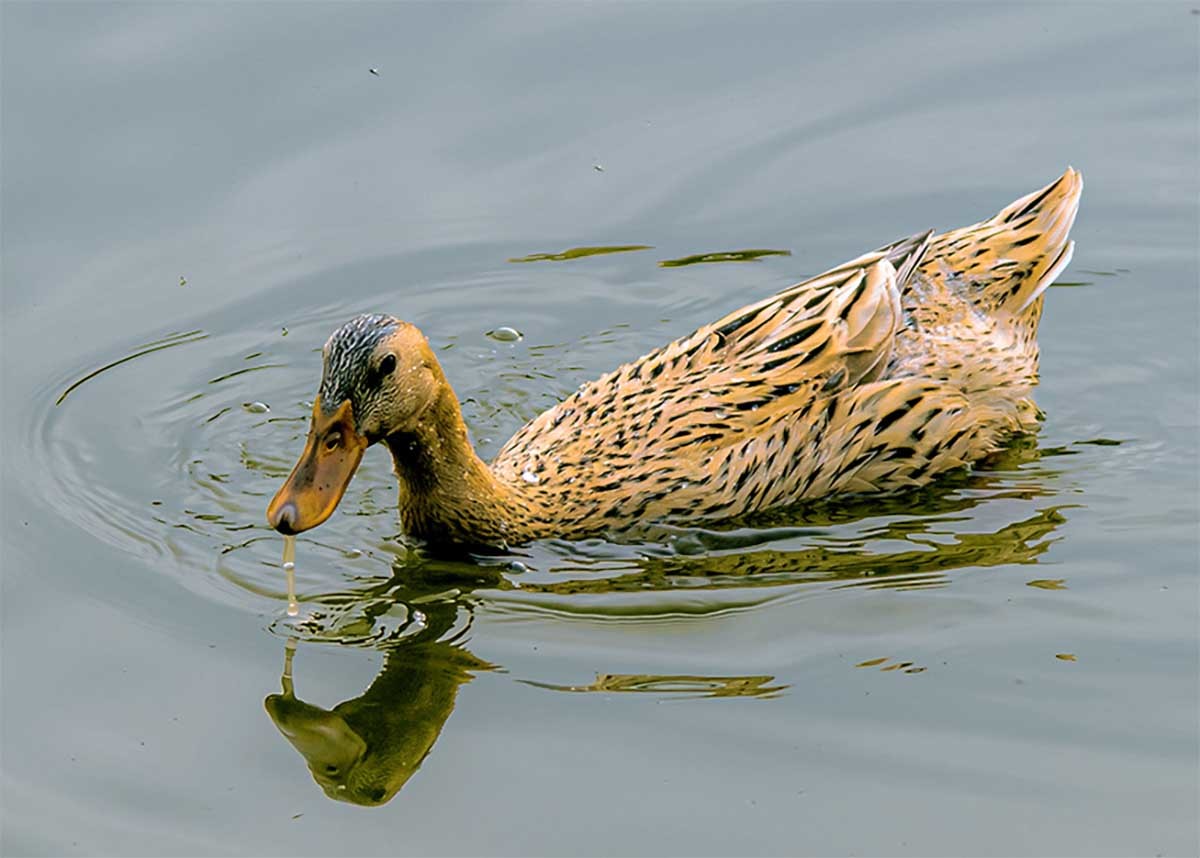 随                                拍