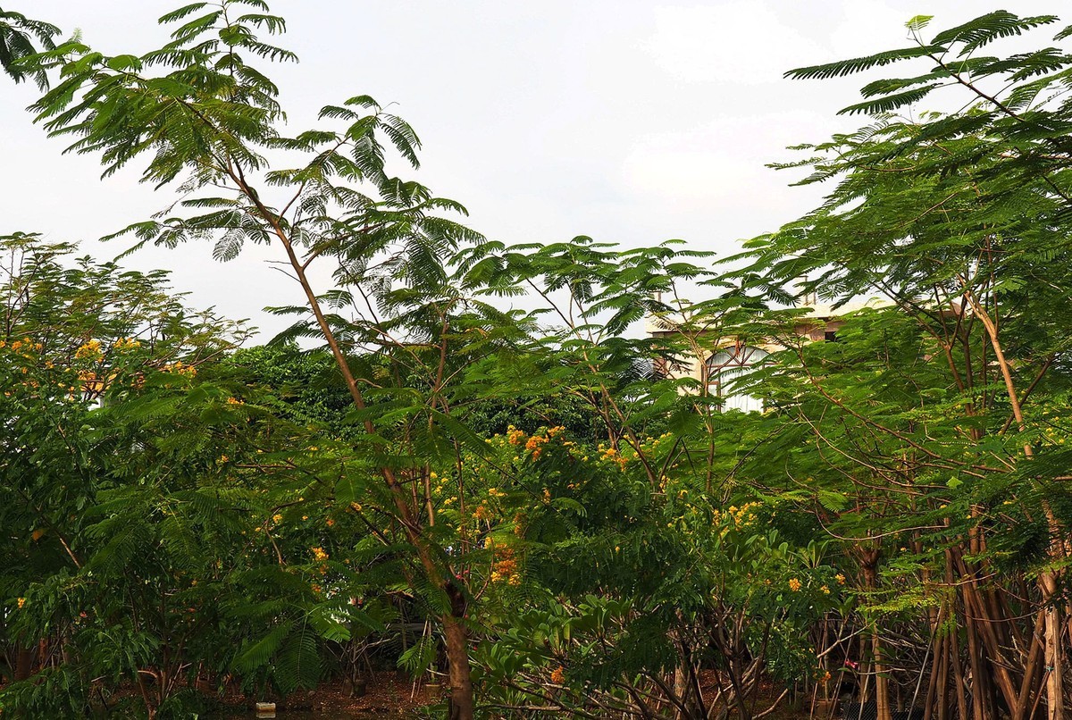 三角镇——路边随拍（4）