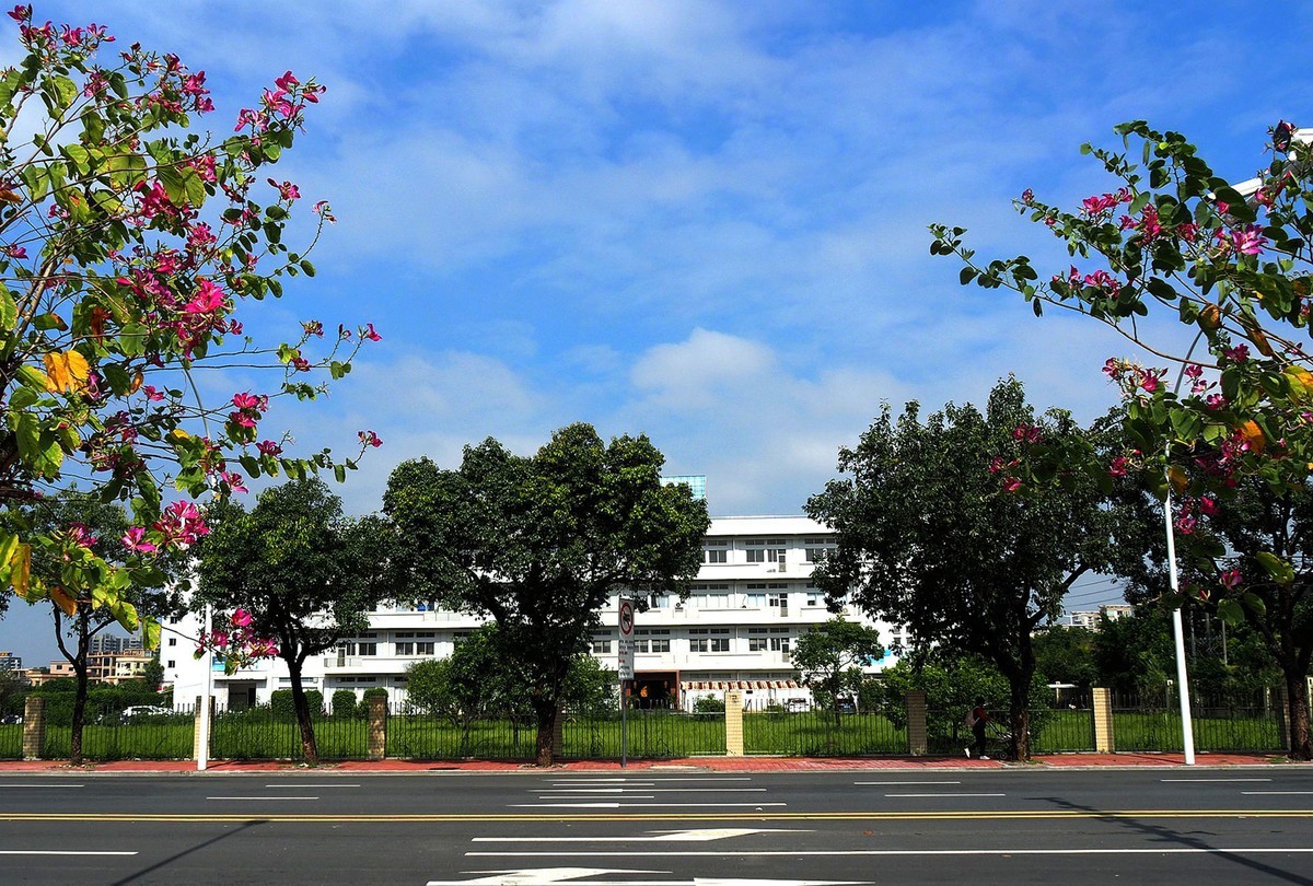 三角镇——路边随拍（4）