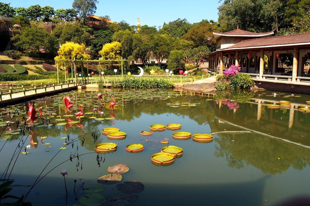 广州番禺——莲花山（4）