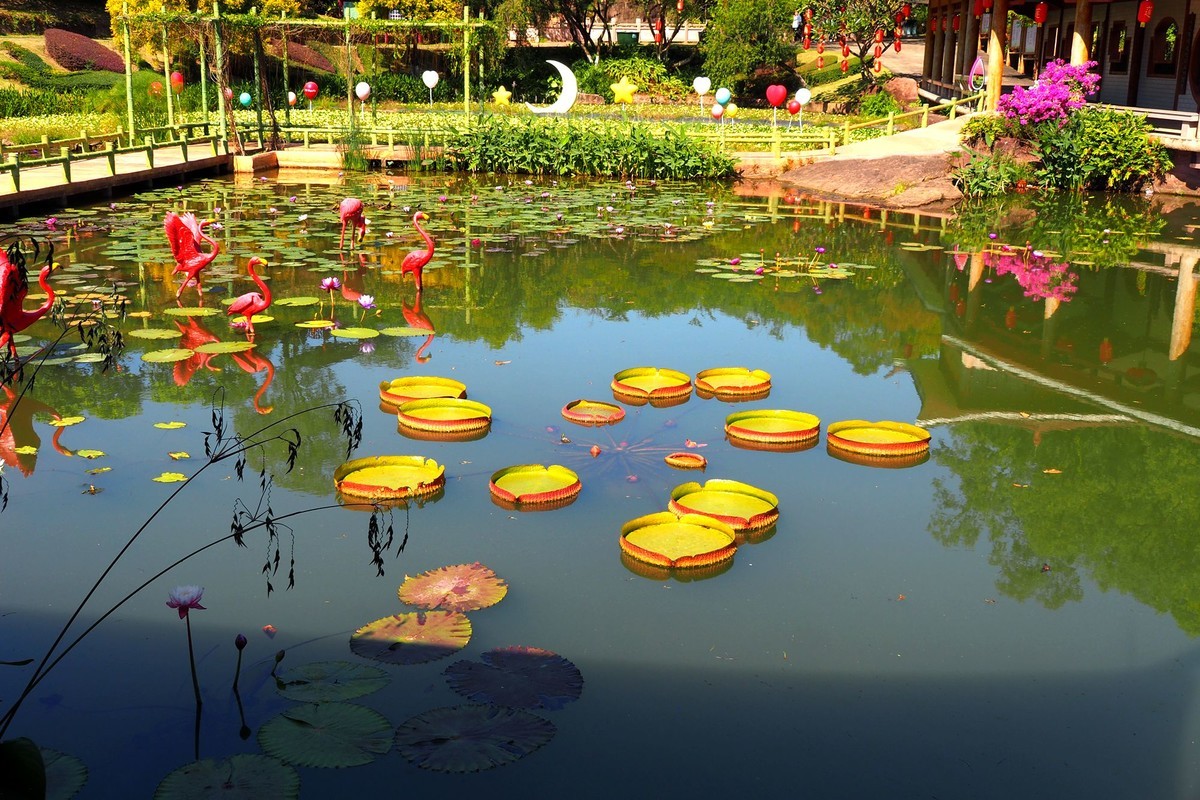 广州番禺——莲花山（4）