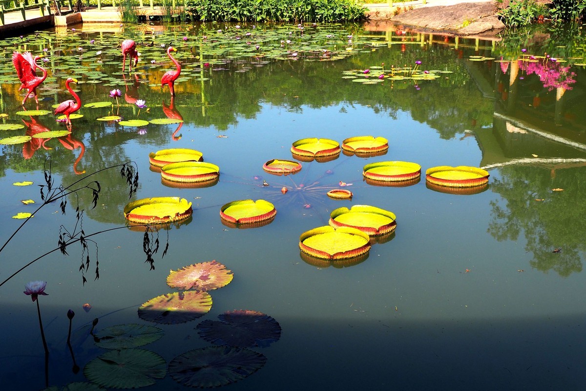 广州番禺——莲花山（4）