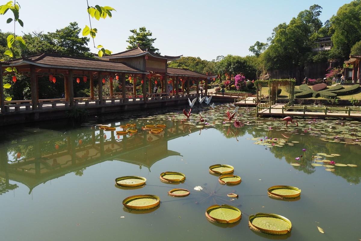 广州番禺——莲花山（4）