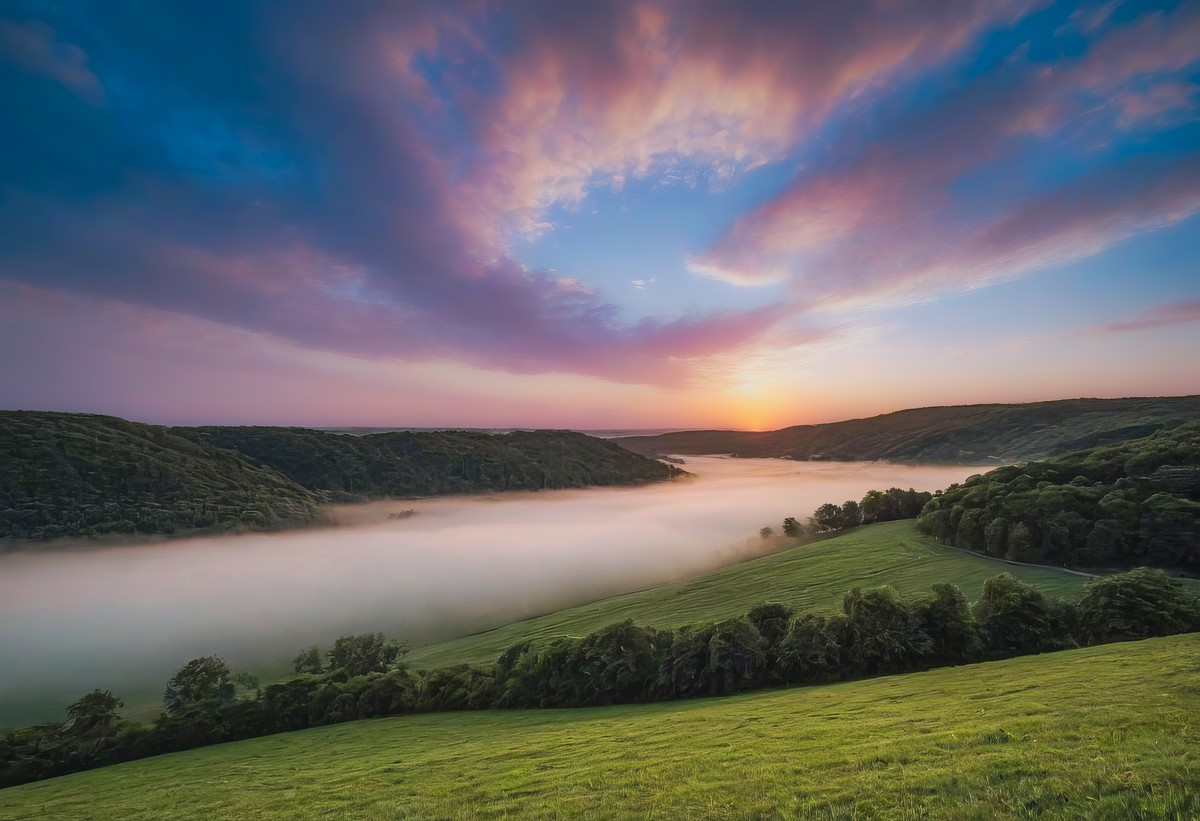 心灵的净化与蜕变