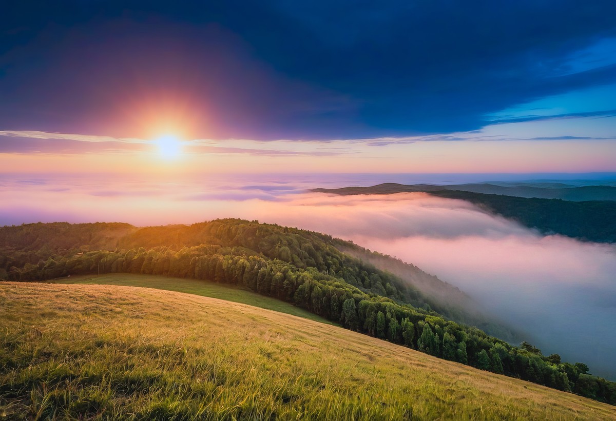 心灵的净化与蜕变