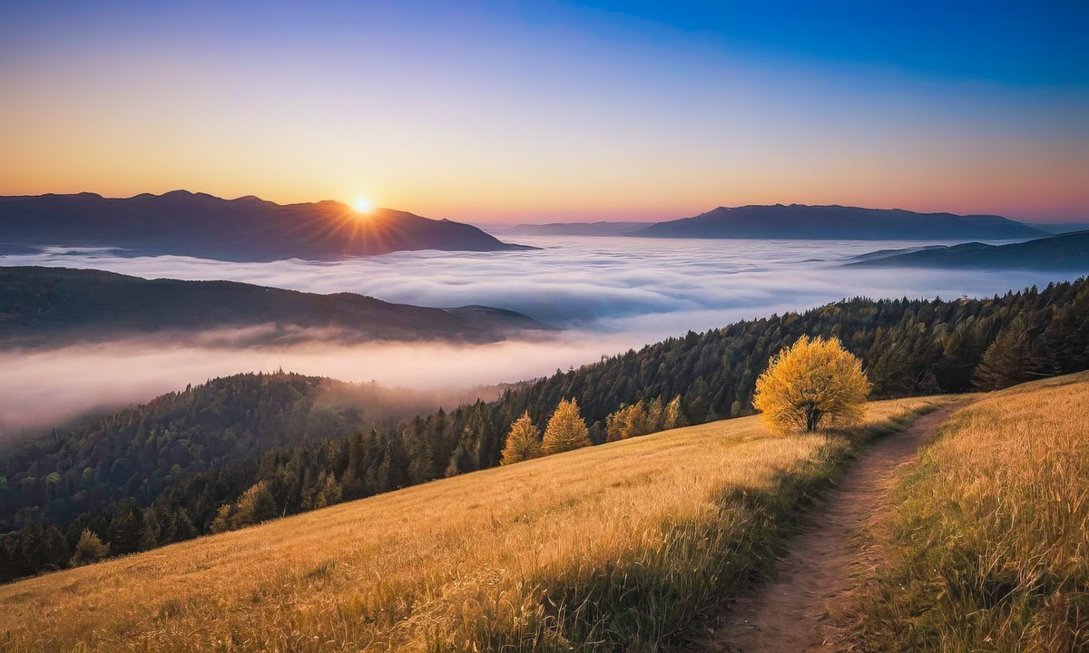 心灵的净化与蜕变