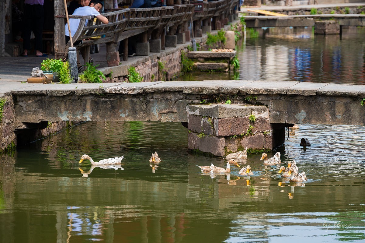唐模古村（五）