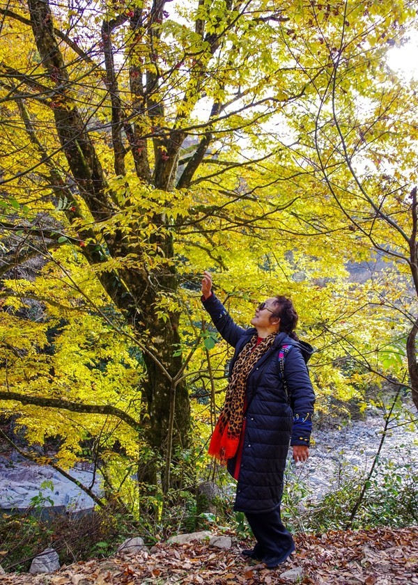 光雾山金秋行【14】
