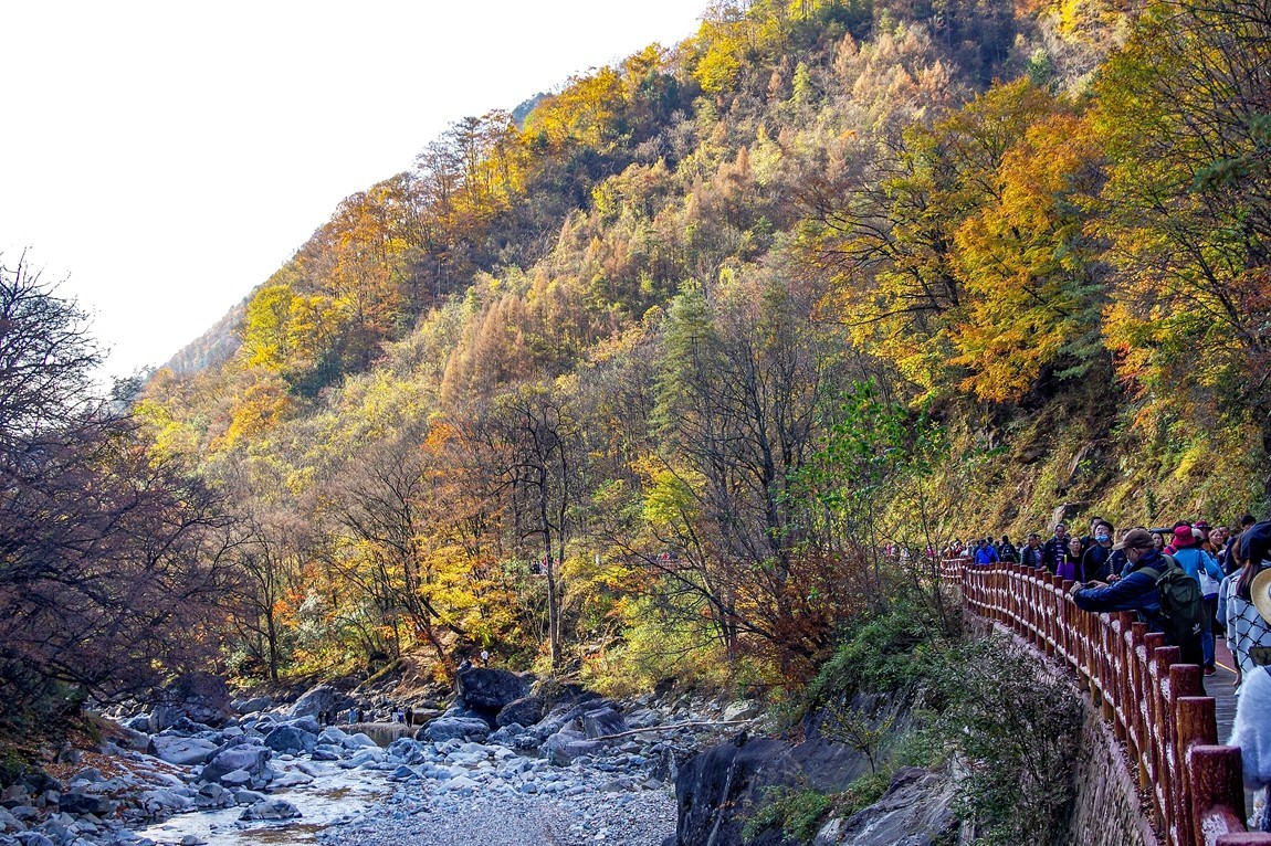 光雾山金秋行【14】