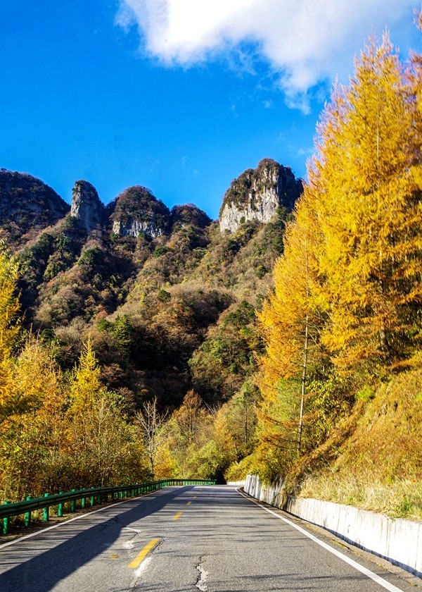 光雾山金秋行【14】