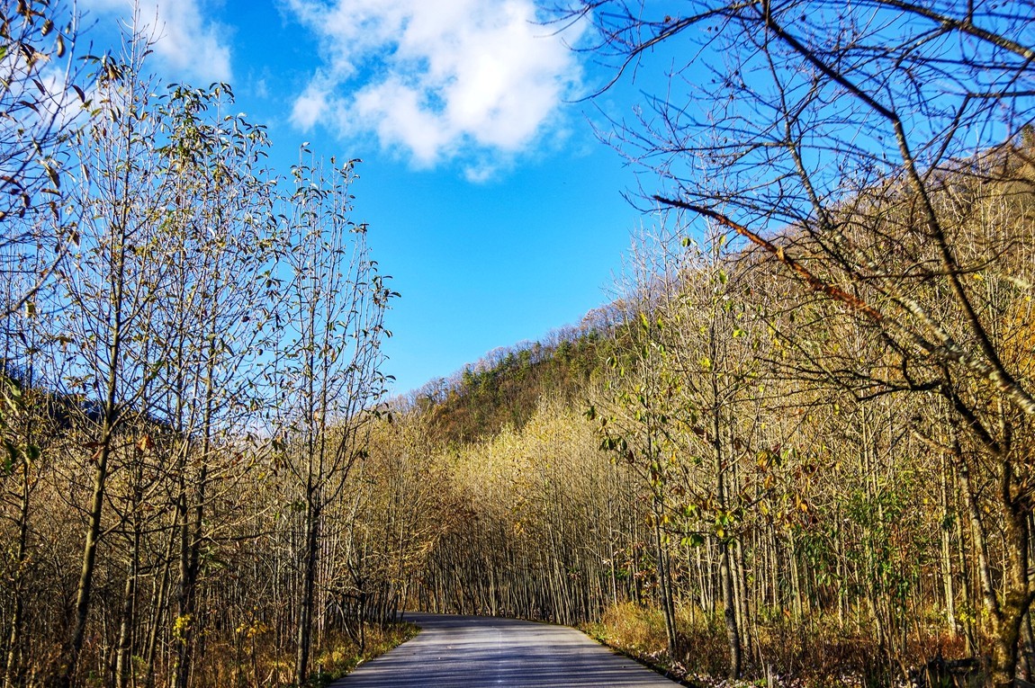 光雾山金秋行【14】