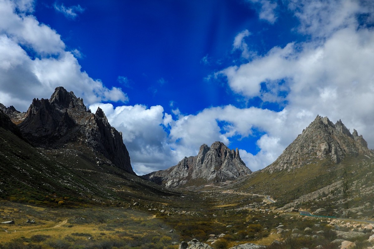 误闯魔幻世界--莲宝叶则（上）